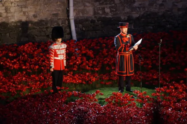 Yeoman Warder on poppy day.